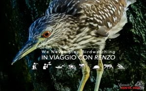 15 day Birding Vacation in Costa Rica