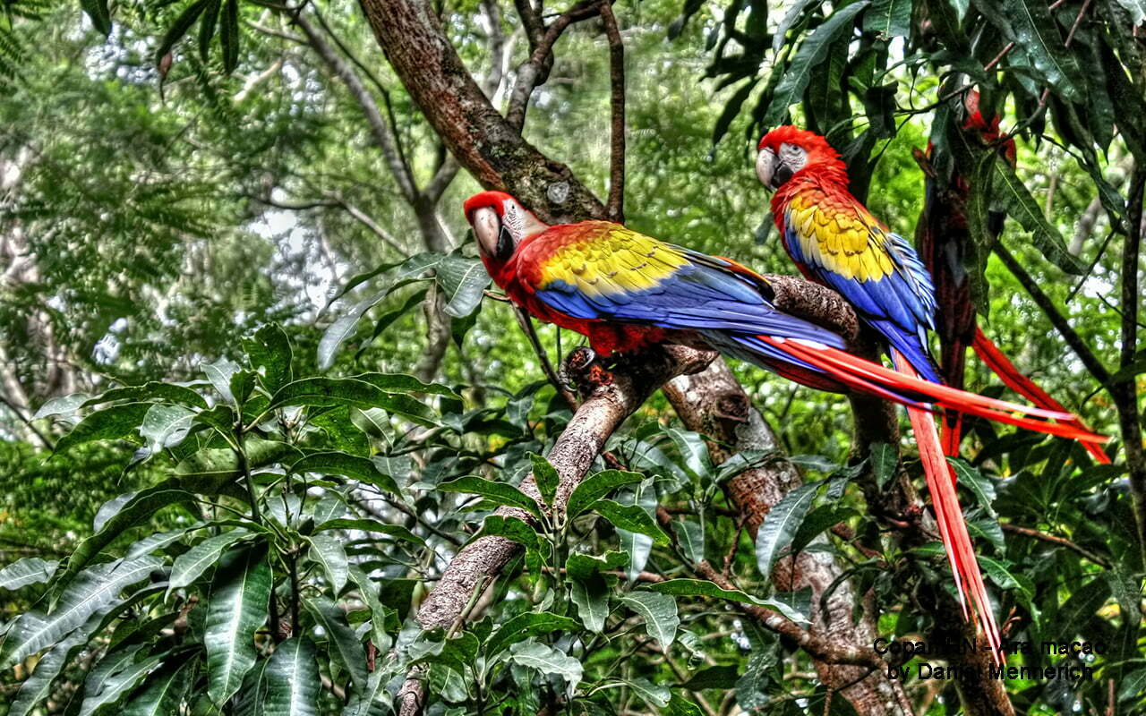 Tarcoles Mountain and Carara National Park